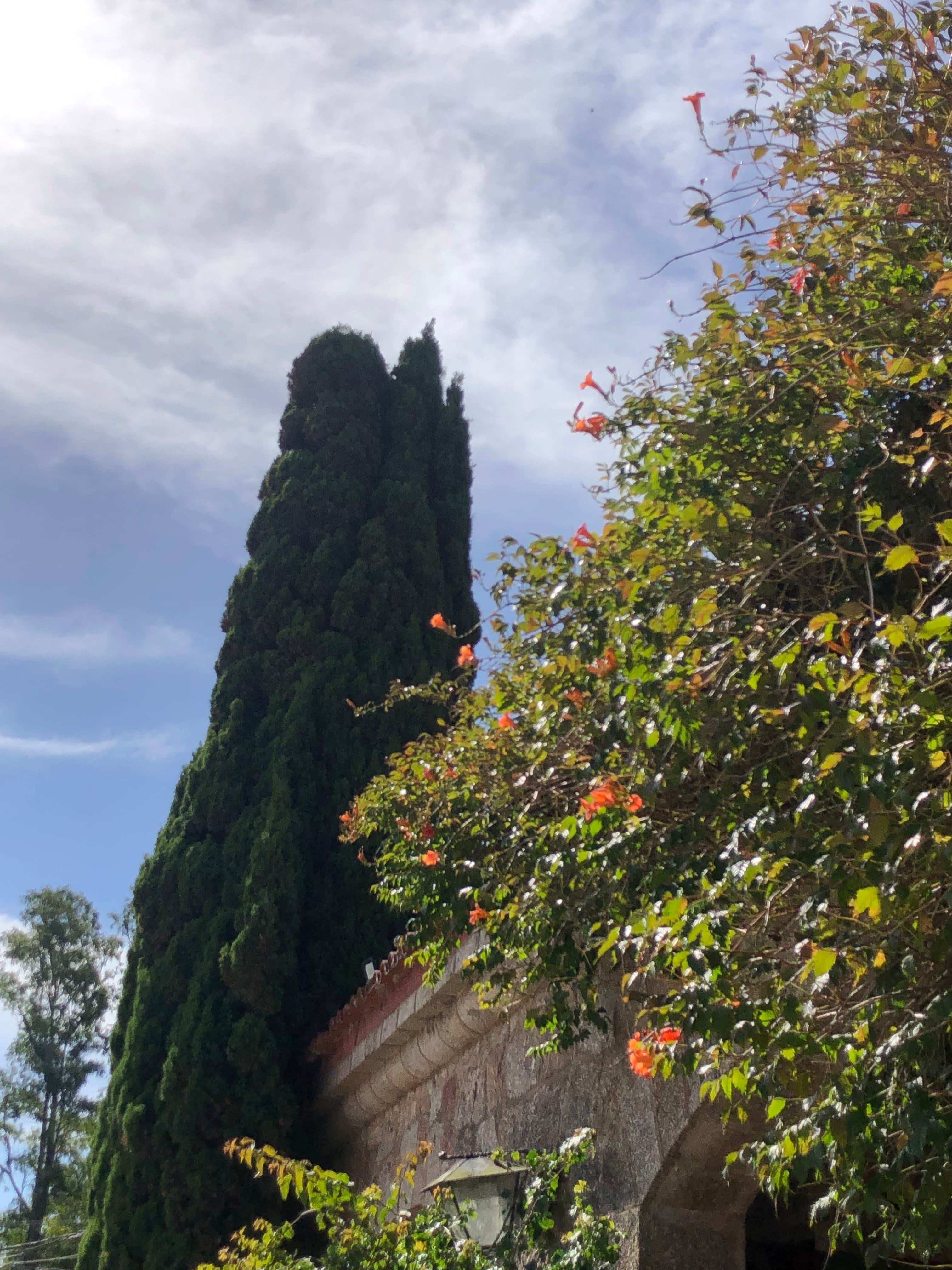 Postal profesional de Uruguay para contenido Dunaris