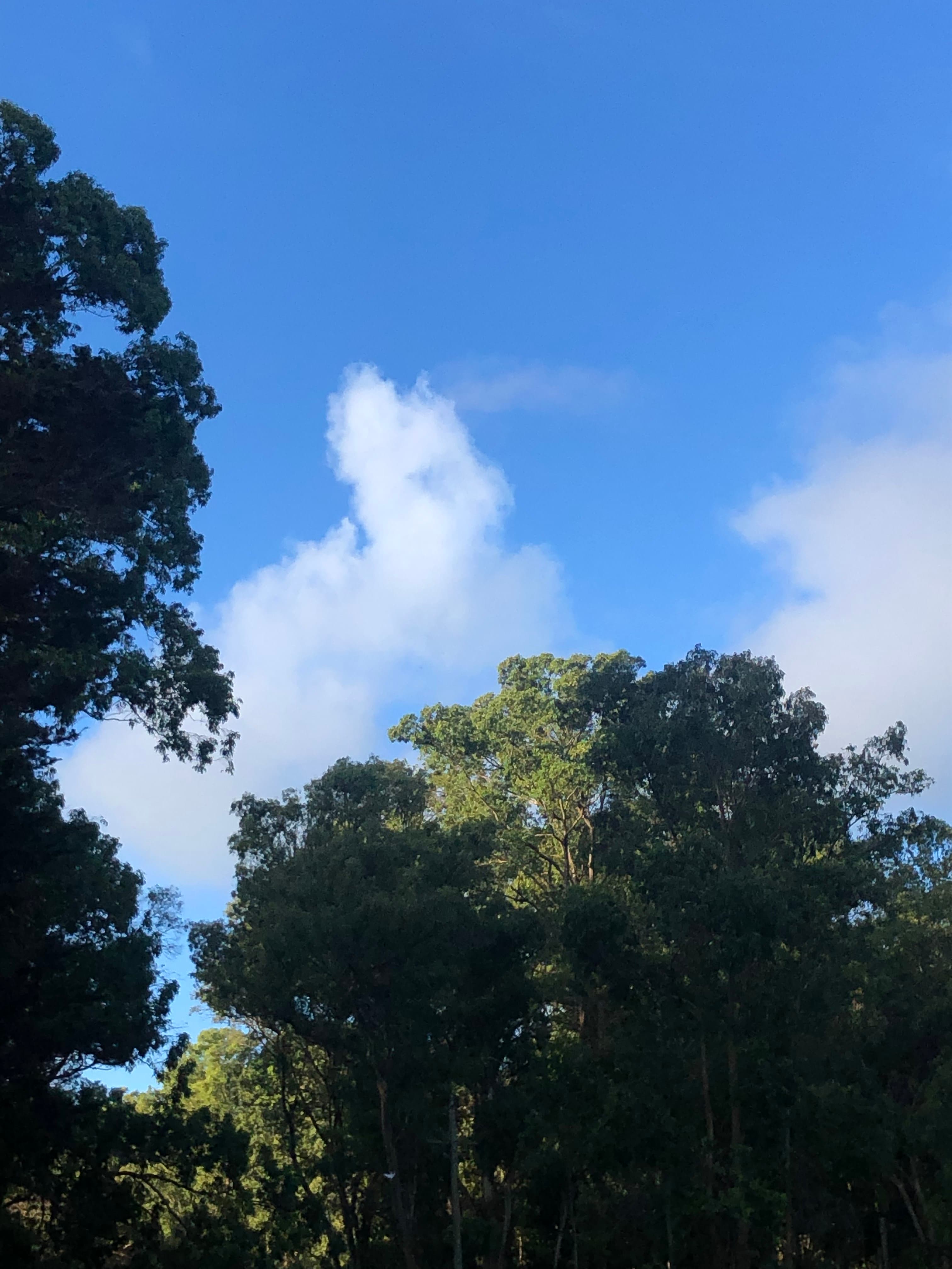 Postal artistica de Uruguay para blog de perfumeria