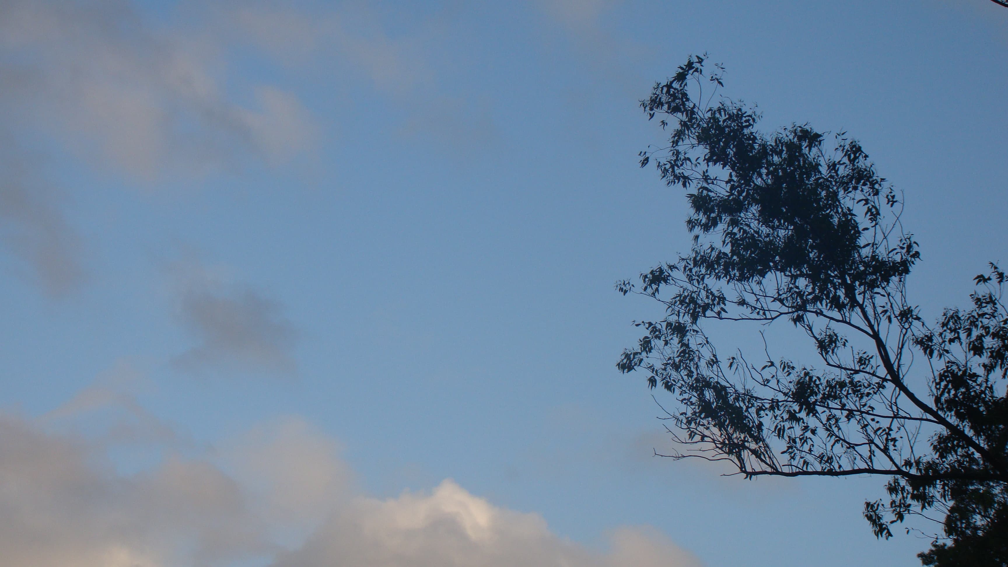Postal de paisaje uruguayo para articulo de Dunaris