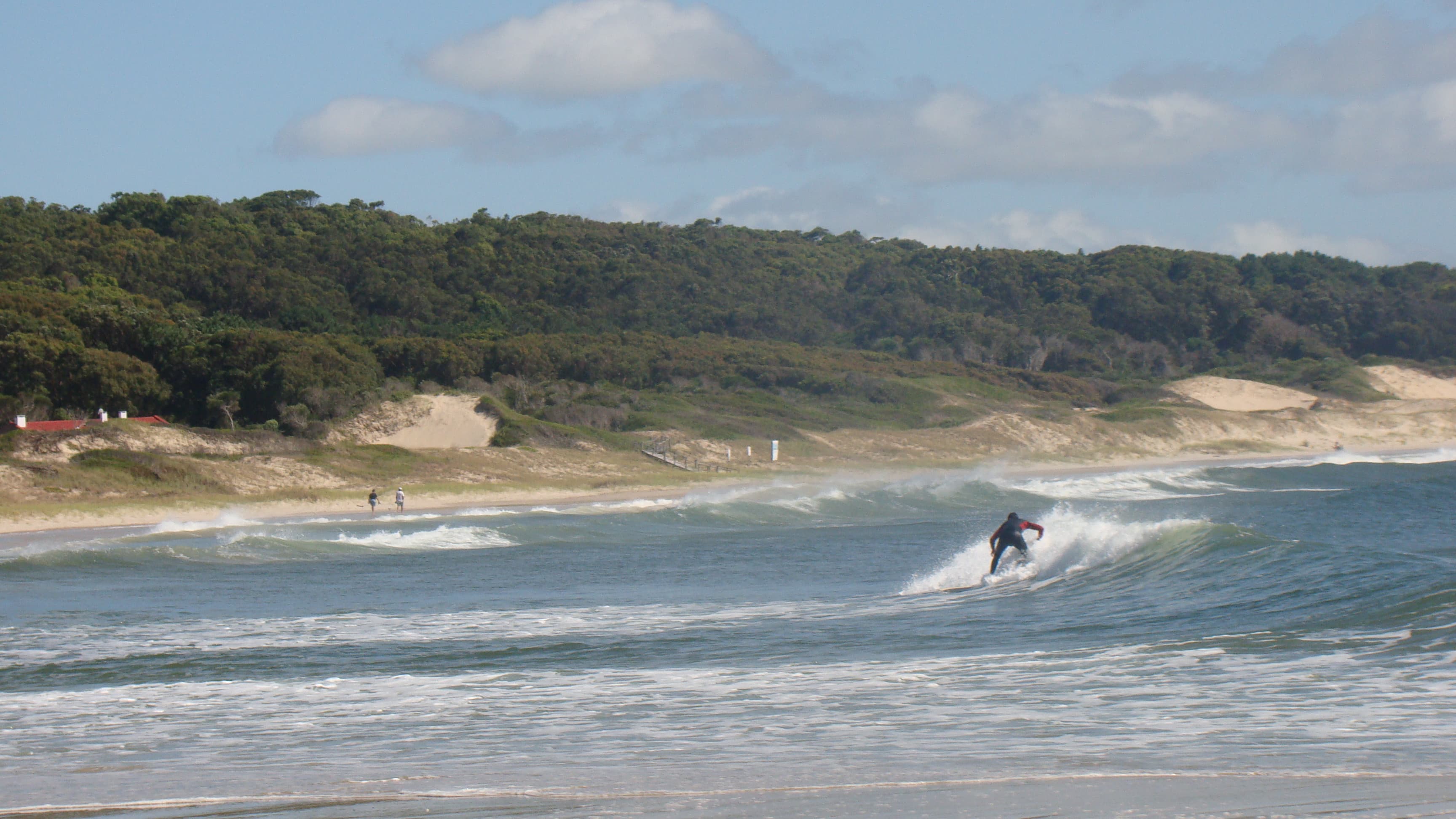Postal profesional de Uruguay para guias de Dunaris