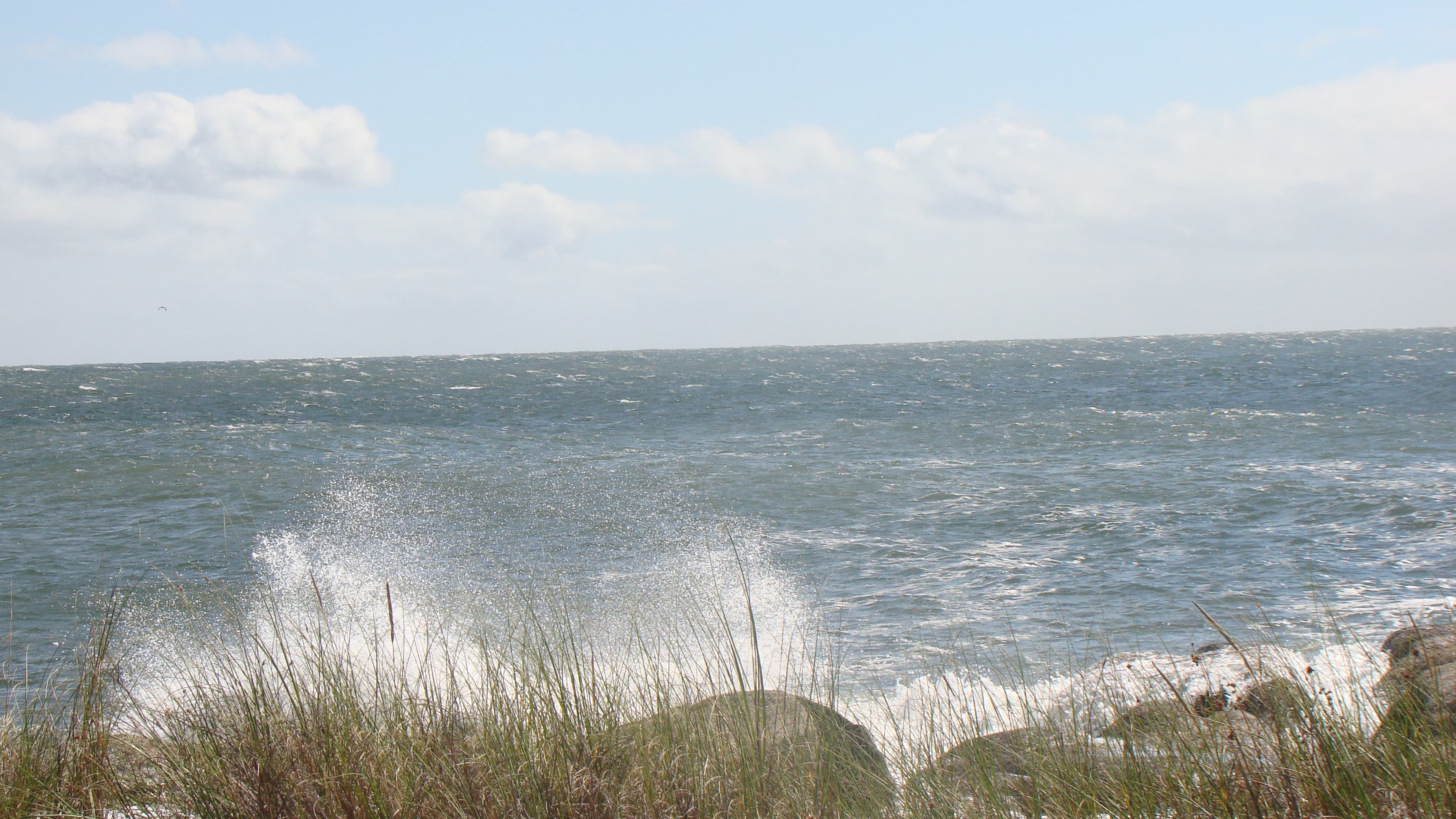 Postal de Uruguay para articulo sobre notas olfativas